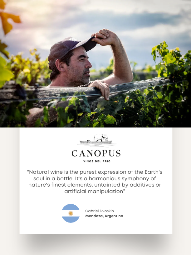 Canopus winemaker Gabriel Dvoskin among the vines. His card describes natural wine as a pure expression of the earth.