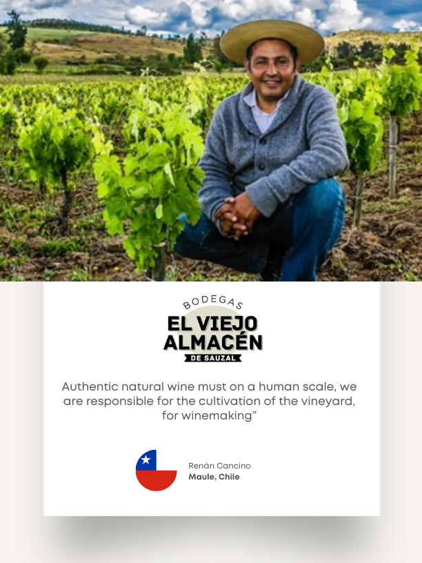 El Viejo Almacén winemaker Renán Cancino in a vineyard. His card emphasizes human-scale, responsible cultivation.